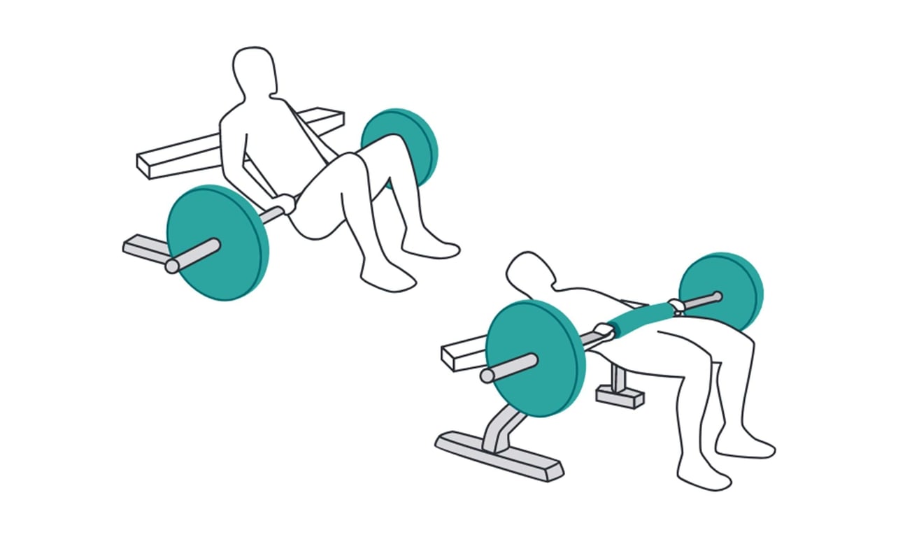 Two figures performing hip thrust exercises with a barbell on a bench.
