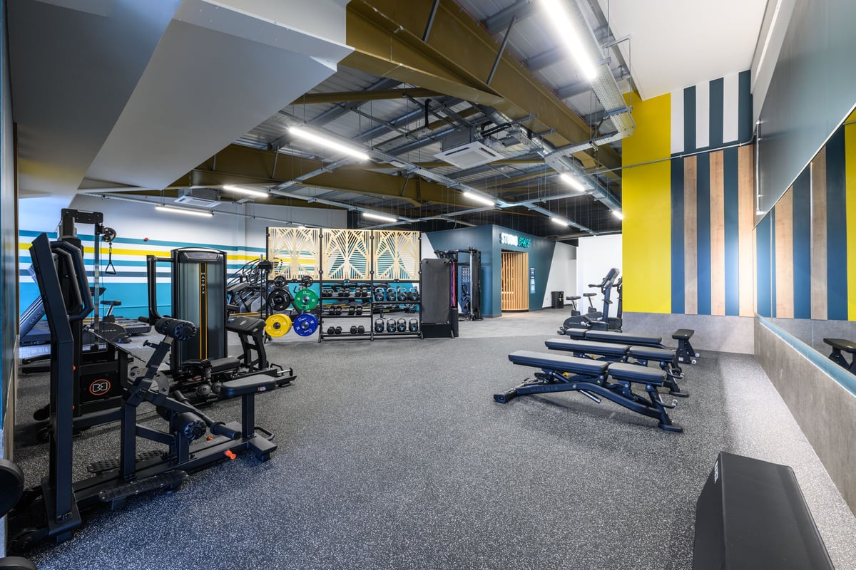 Shape area 