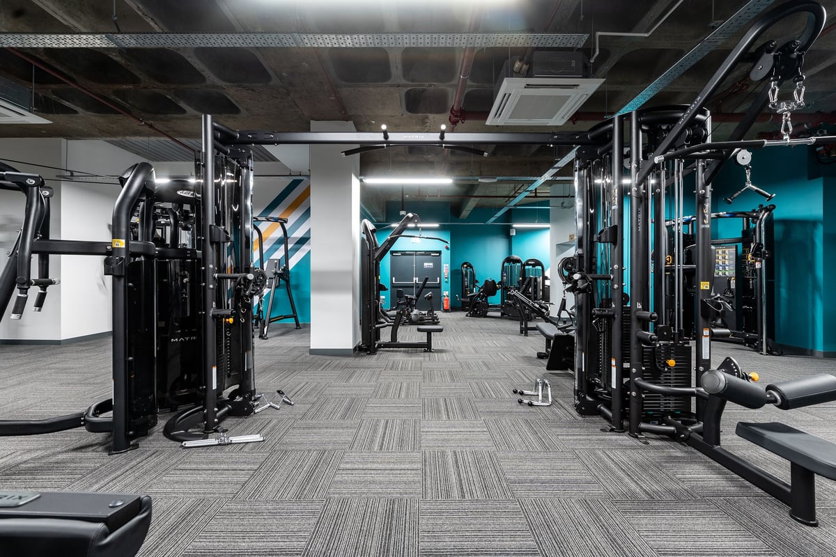 PureGym London Wood Green: Strength training equipment, cable machines, squat racks, benches and weight plates.