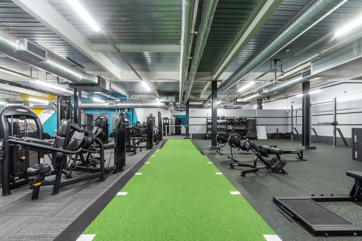 PureGym Harrogate: Weightlifting area with squat racks, benches, free weights, green turf, and mirrored walls.