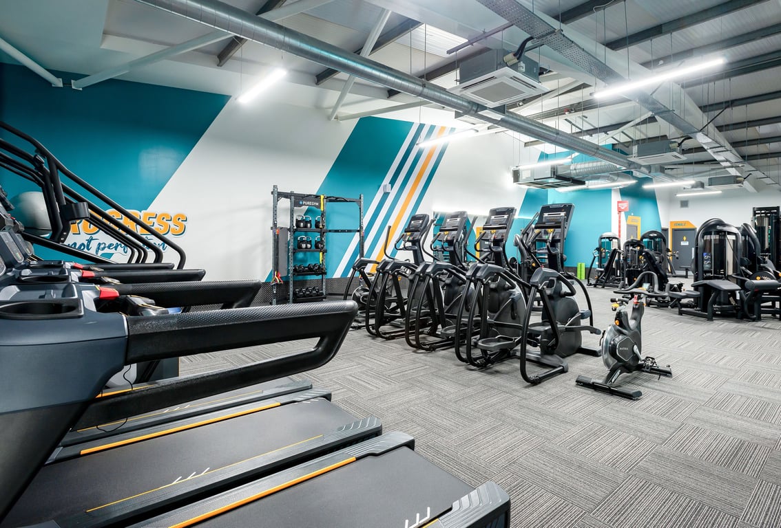 PureGym Stratford-upon-avon: Rows of treadmills, ellipticals, and cycling machines in a modern fitness studio.