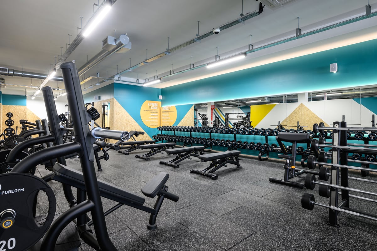 Nottingham Arnold free weights
