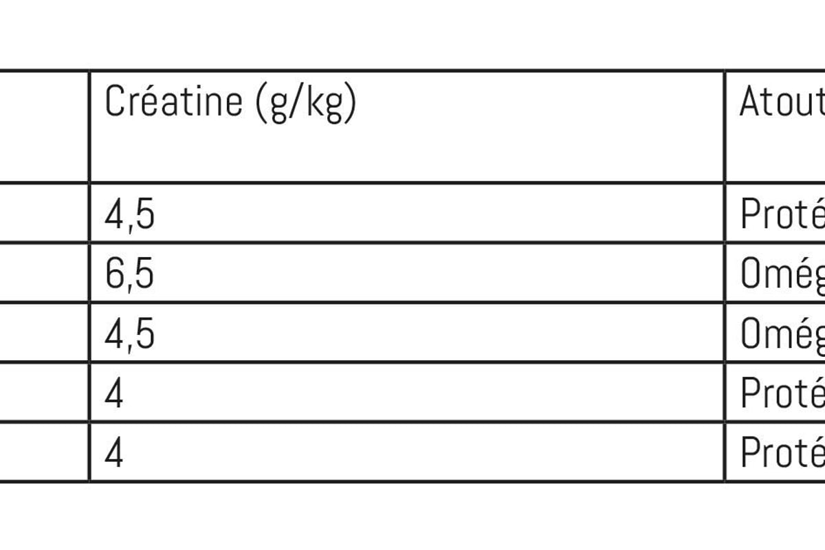 Tableau comparant la teneur en créatine et les bénéfices nutritionnels de six aliments: bœ