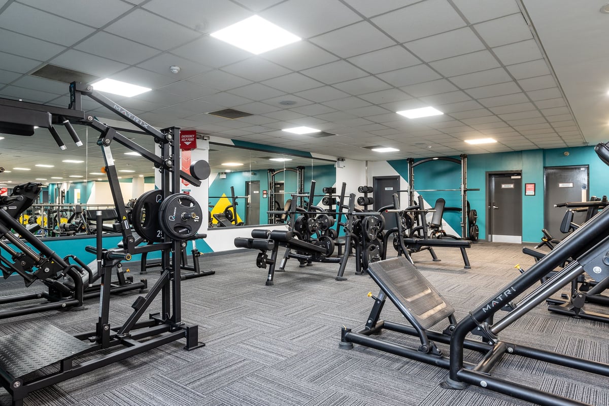 PureGym Harlow: Weight machines, free weights, benches, and exercise equipment in a teal-colored gym space.