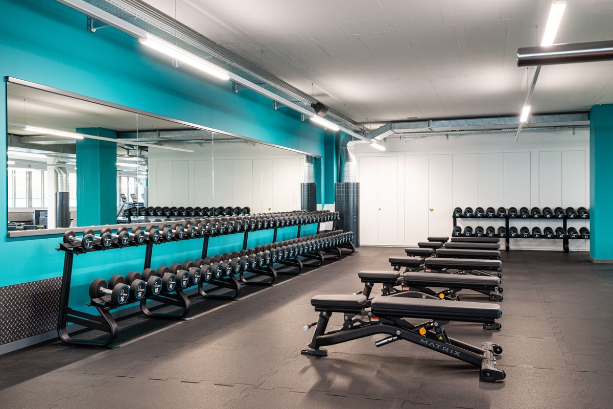 PureGym Altstetten: Reihen türkisfarbener Hantelständer und Hantelbänke in einem hellen Fitnessbereich.
