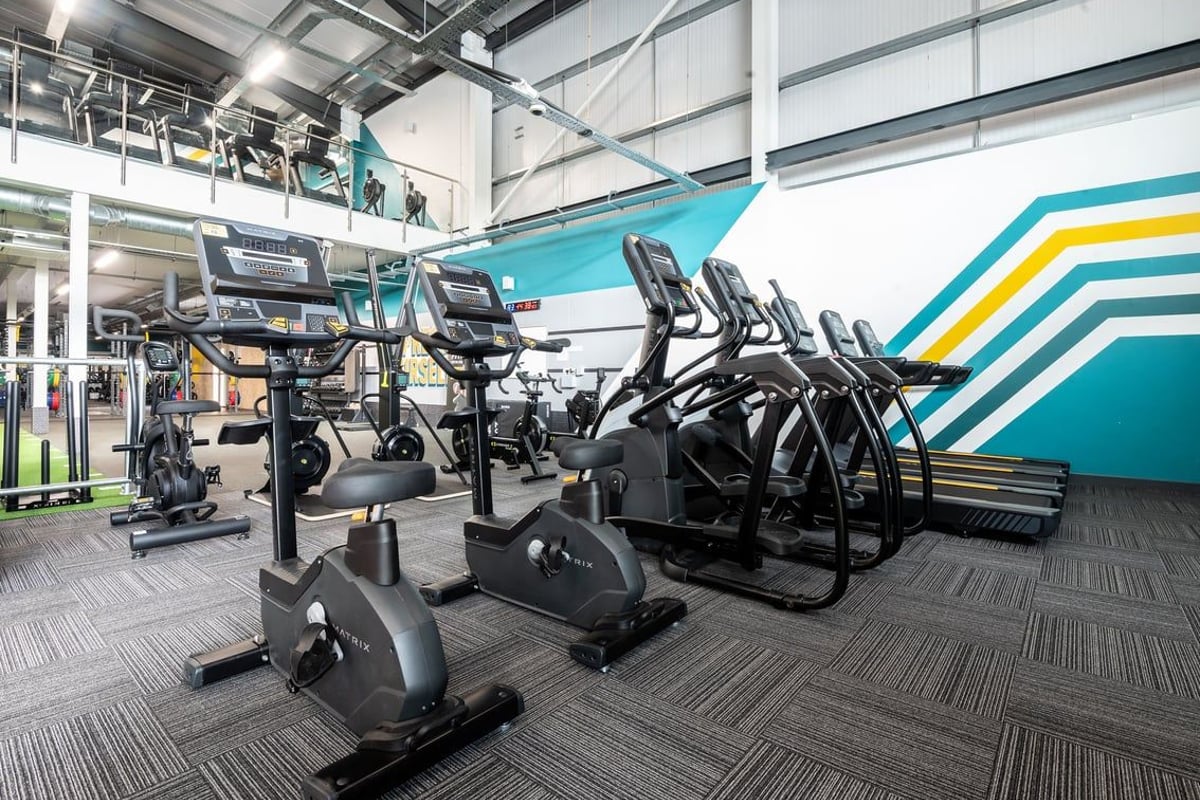 PureGym Glasgow Rutherglen: Rows of treadmills and ellipticals alongside patterned wall mural in gym studio.