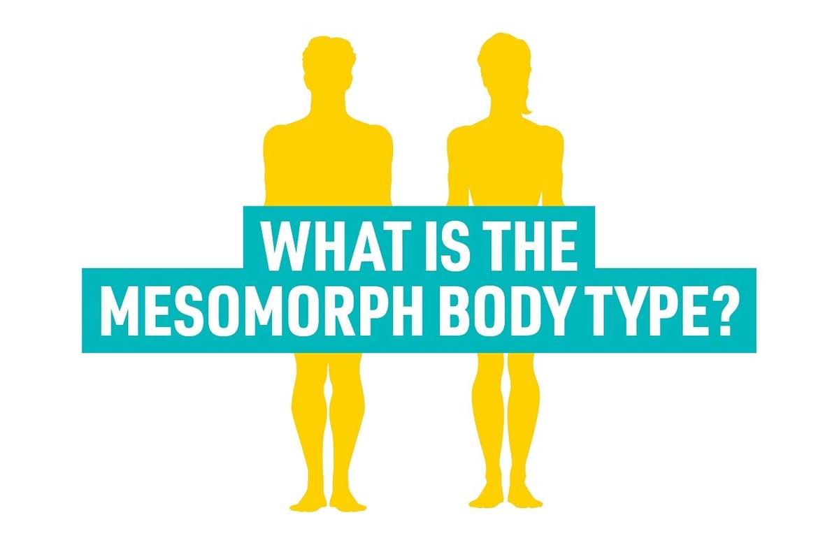 Two yellow human silhouettes behind text asking about the mesomorph body type