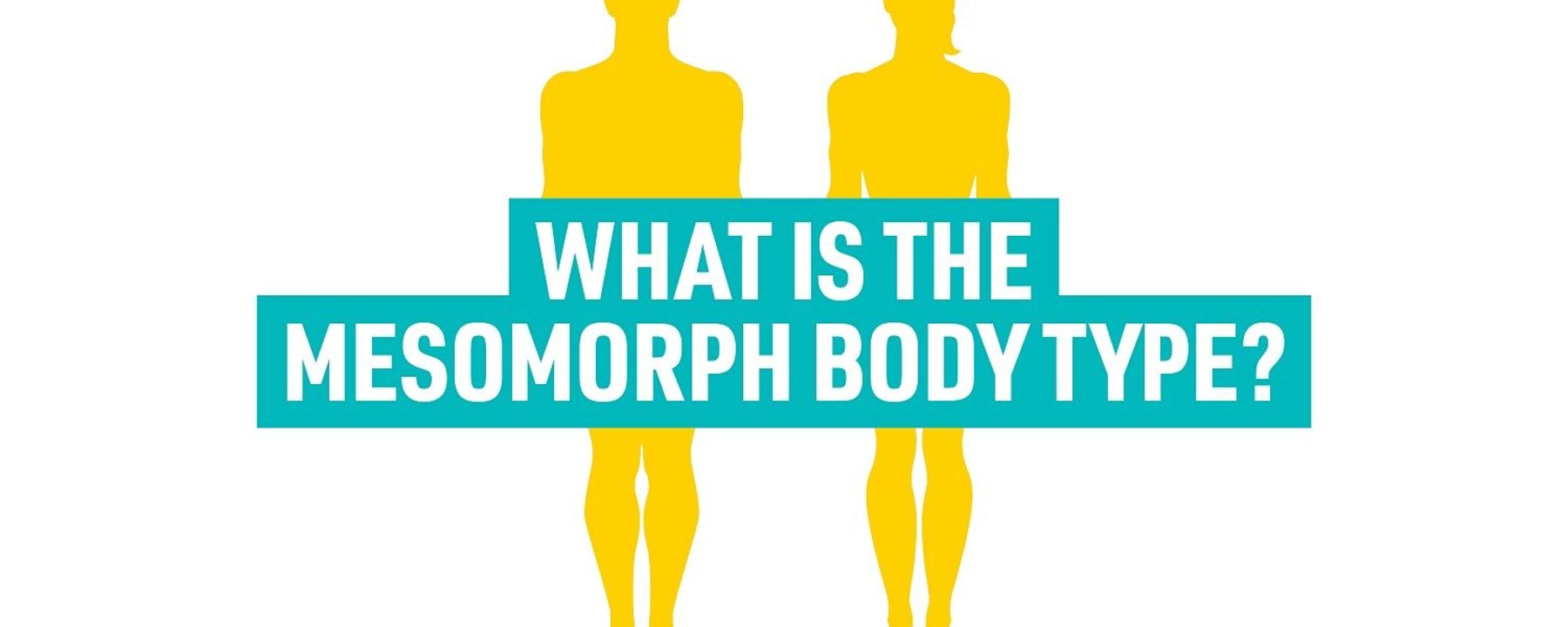 Two yellow human silhouettes behind text asking about the mesomorph body type