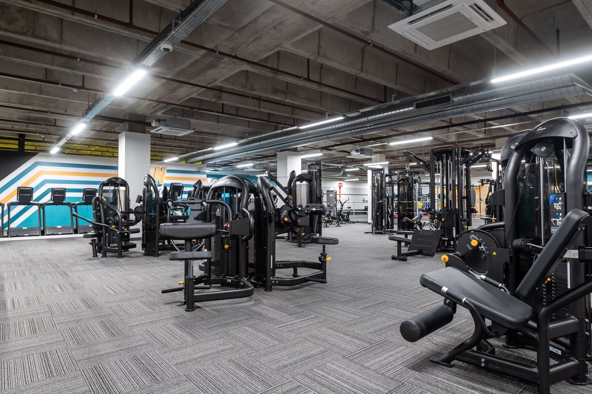 PureGym London Ealing Broadway: Rows of weight machines, benches, mirrors and rubberized flooring in a basement gym.