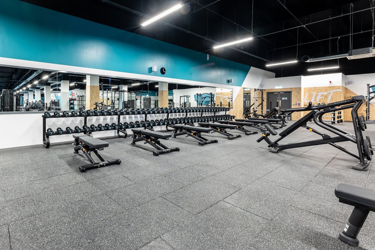 PureGym Hatfield: Weight benches, free weights, resistance machines, rubberized floors in modern gym setting.