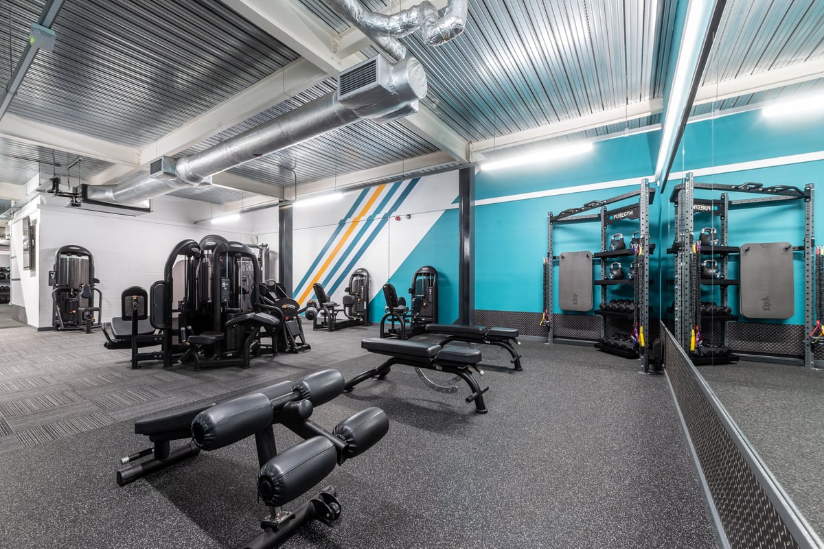 PureGym Harrogate: Strength training area with resistance machines, free weights, benches, and rubberized flooring.