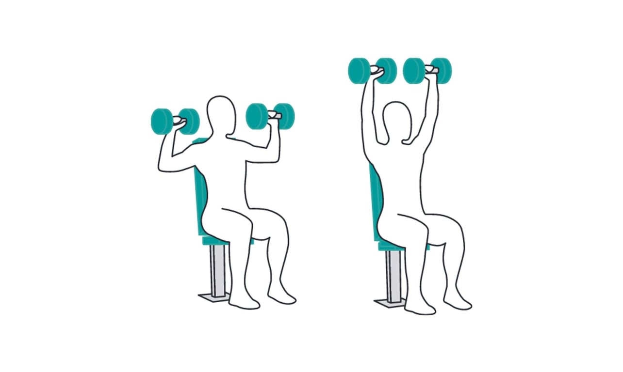 Person seated on a bench pressing dumbbells from shoulder height to above the head.