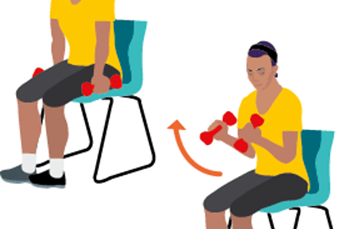 Bicep curls - seated exercises for seniors
