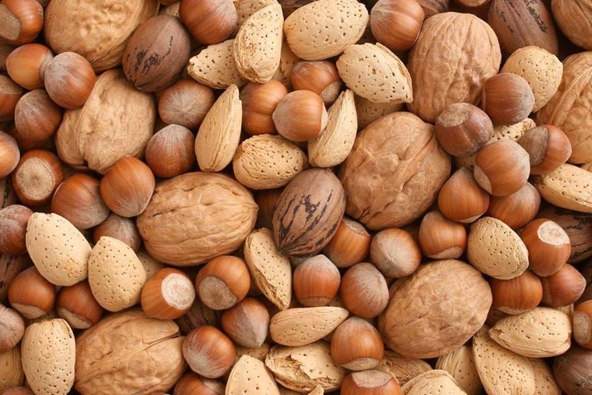 Mixed nuts in shells including walnuts, almonds, hazelnuts, and pecans
