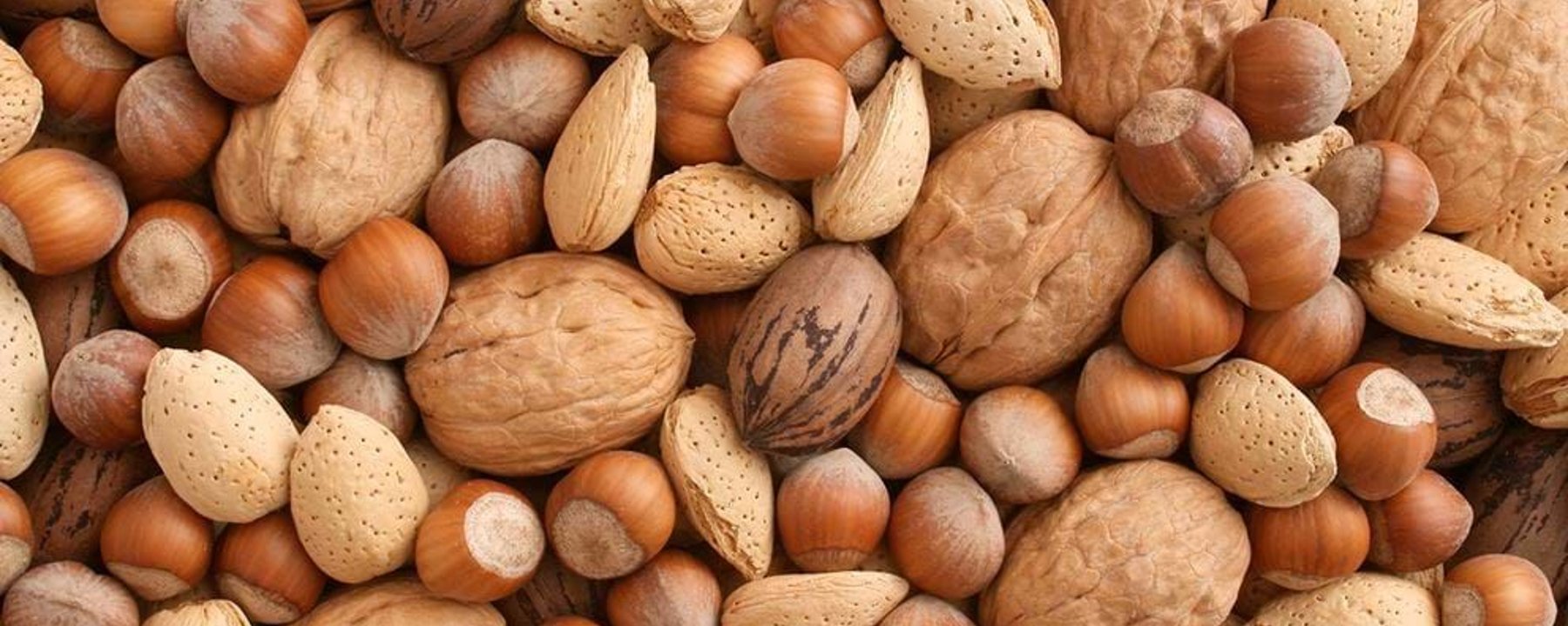 Mixed nuts in shells including walnuts, almonds, hazelnuts, and pecans