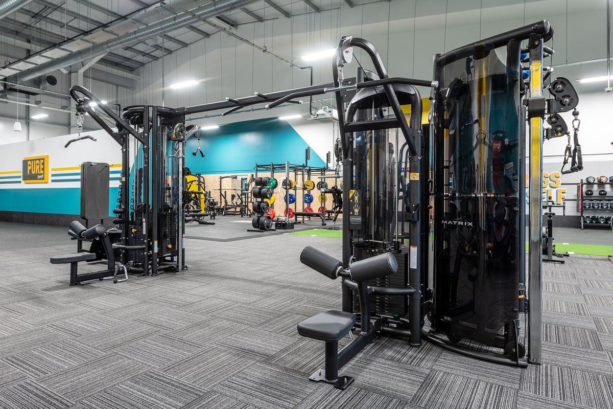PureGym Alton: Weight machines, cable machines, free weights, benches, and rubberized flooring in a gym setting.
