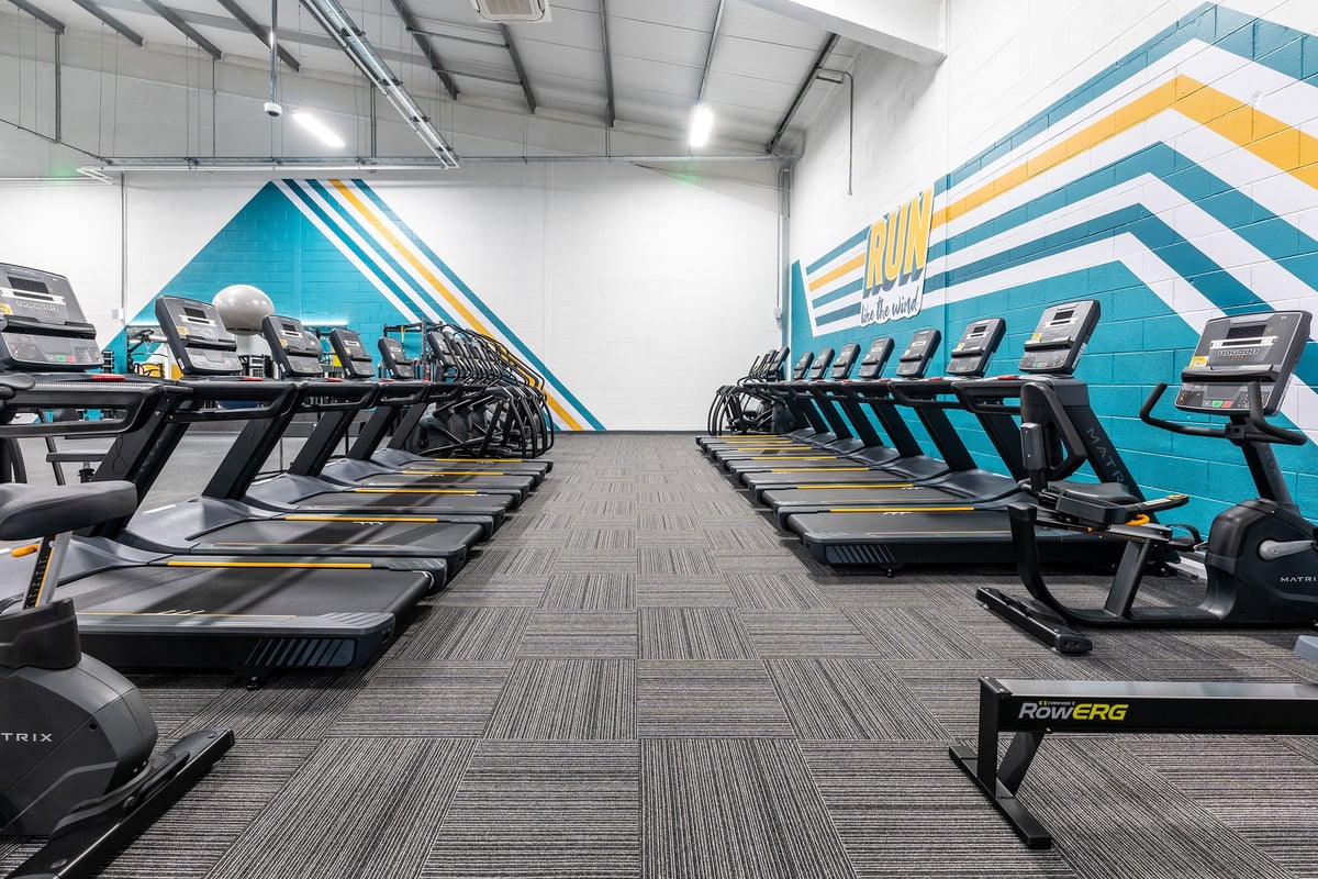 PureGym Ballymena: Rows of treadmills facing each other in a bright gym space with striped colourful wall designs.