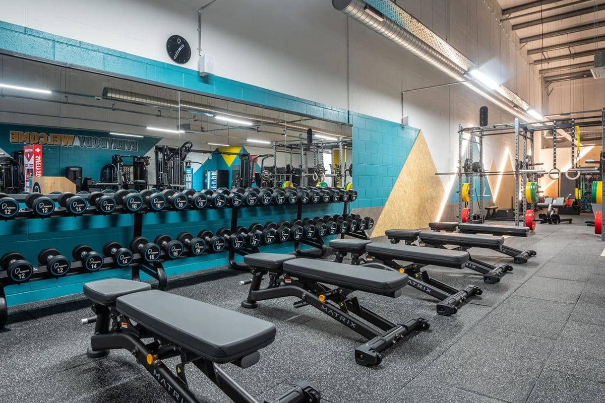PureGym Lanark: Rows of weight benches, dumbbells, kettlebells on rubberized gym flooring with vibrant teal accents.
