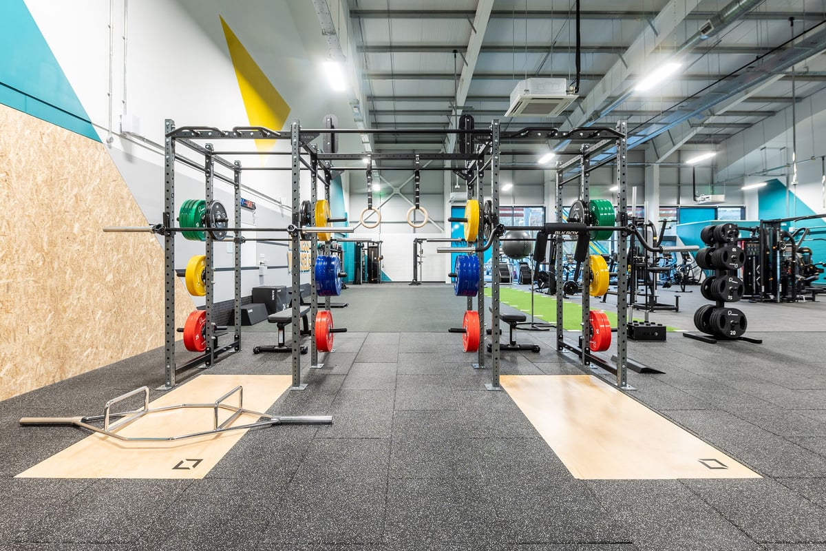 PureGym Alton: Squat racks, weight plates of various colours, barbell racks, and rubberized floor tiles.