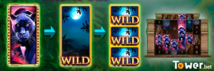 3_Gold_Panther_Maxways_betting_options.png
