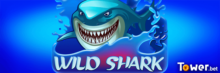 1_Wild_Shark_main.png