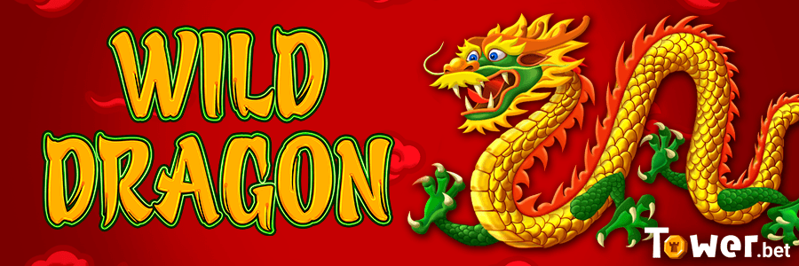 1_Wild_Dragon.png