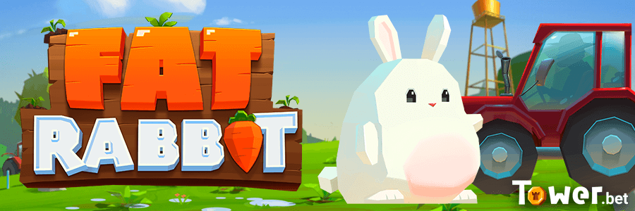 1_Fat_Rabbit_main.png
