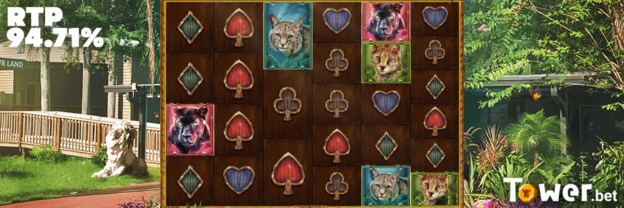 3_Big_Cat_Rescue_MegaWays_rtp.png
