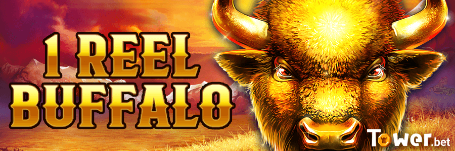 1_1_Reel_Buffalo_main.png