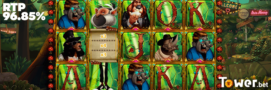 3_Fancy_Jungle_rtp.png