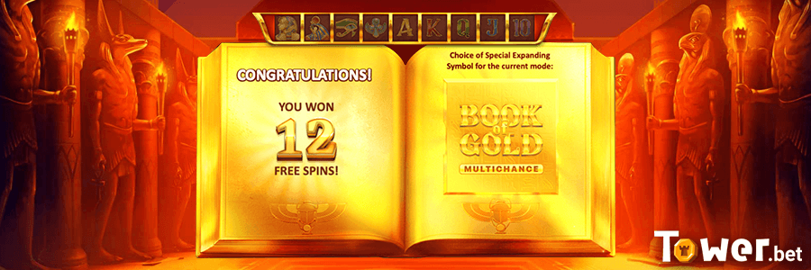 2_Book_of_Gold_Multichance_fs.png