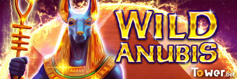 1_Wild_Anubis_main.png