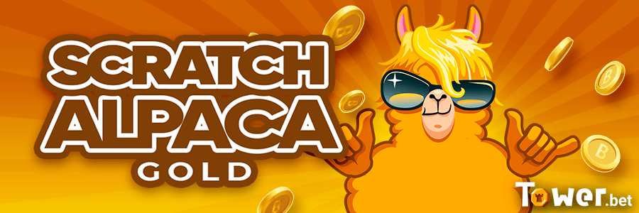 1_Scratch_Alpaca_Gold_main.png
