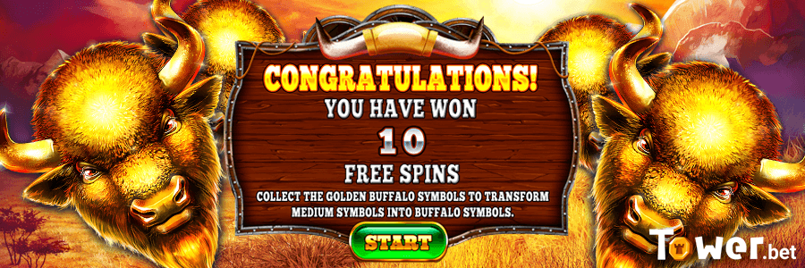 2_Buffalo_Rampage_free_spins.png