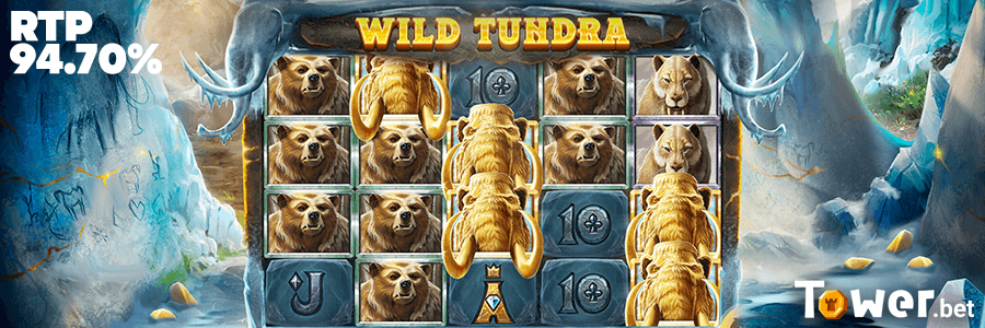 3_Wild_Tundra_super_rtp.png