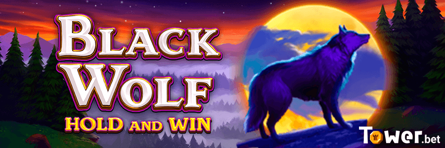 1_Black_Wolf_main.png