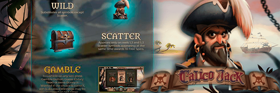 3_Calico_Jack_betting_options.png