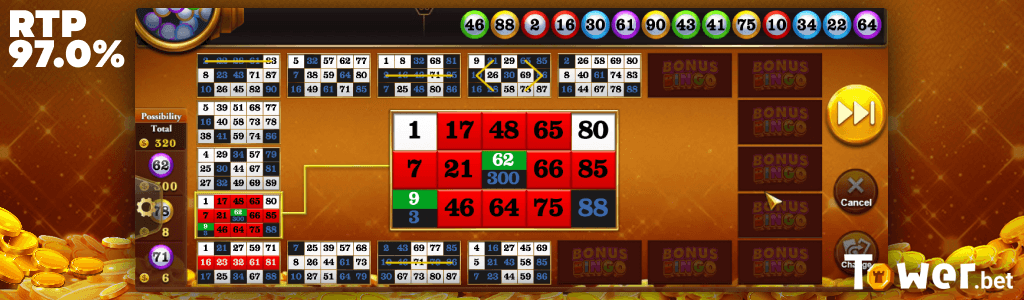 3_Bonus_Bingo_play.png