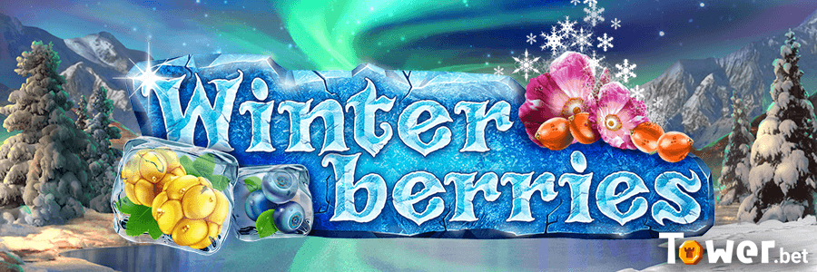 1_Winterberries_main.png