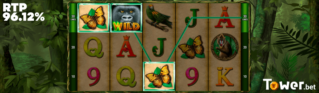 3_King_of_the_Jungle_play.png