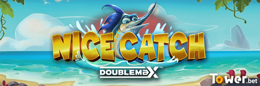 1_Nice_Catch_DoubleMax_main.png