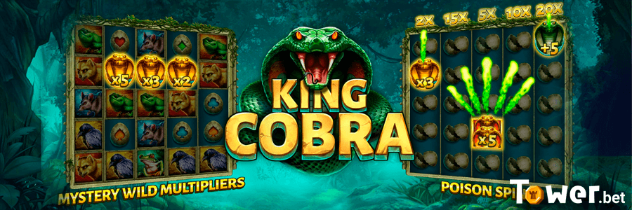 3_King_Cobra_betting_options.png