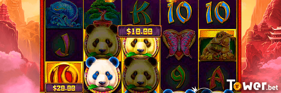 3_Betting_Options.png