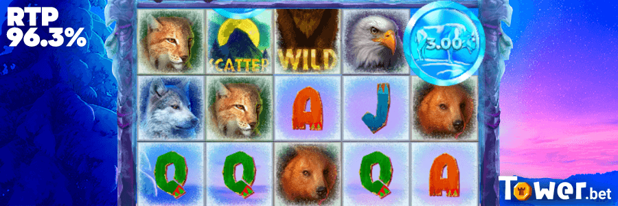 3_Buffalo_Ice_rtp.png