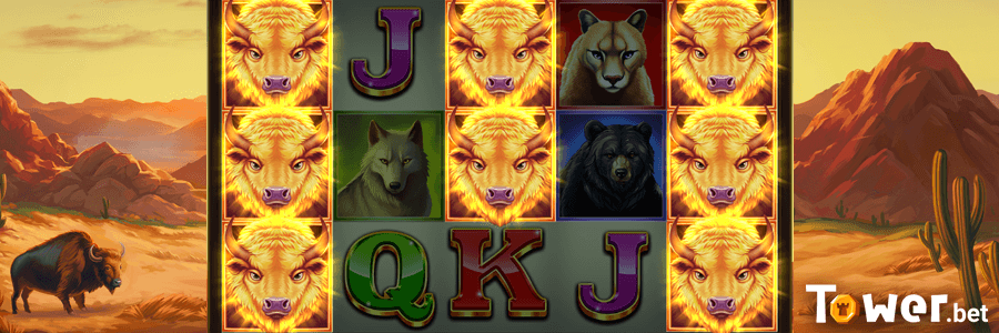2_Buffalo_Sun_bonus.png