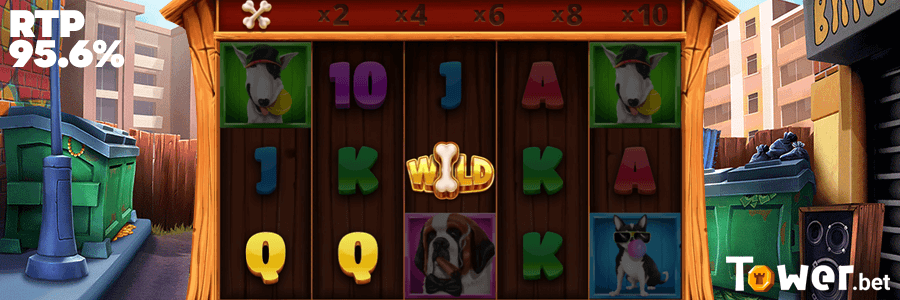 3_Dog_Squad_rtp.png