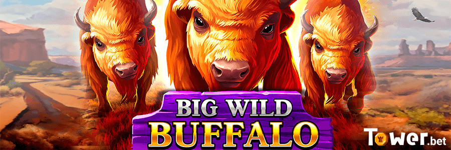 1_Big_Wild_Buffalo_main.png