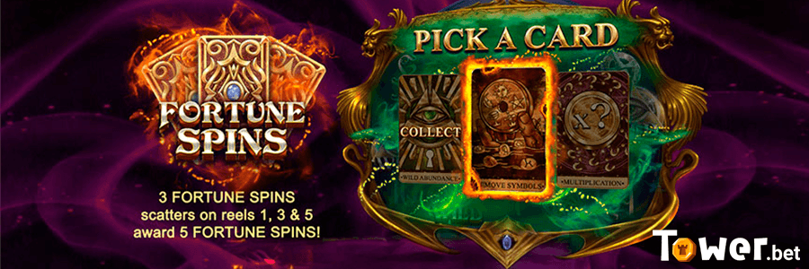 3_Zaidas_Fortune_betting_options.png