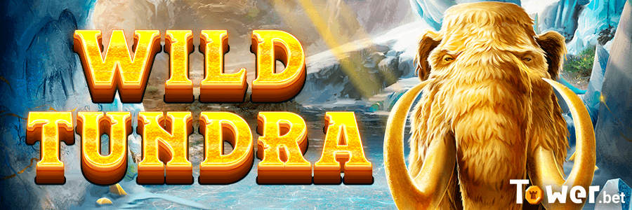 1_Wild_Tundra_main.png
