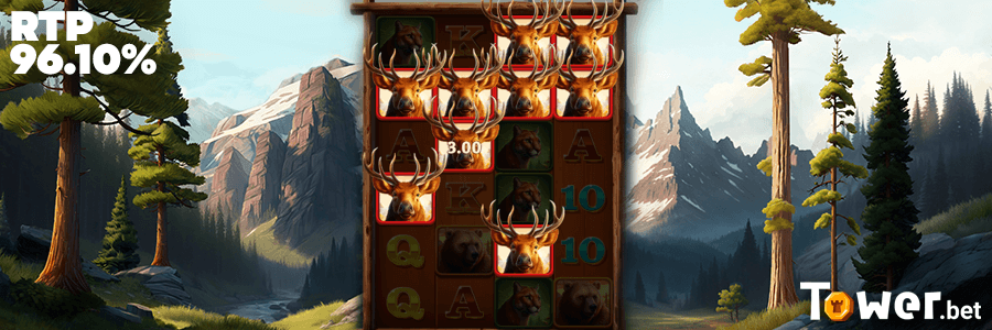 3_Elk_Hunter_rtp.png